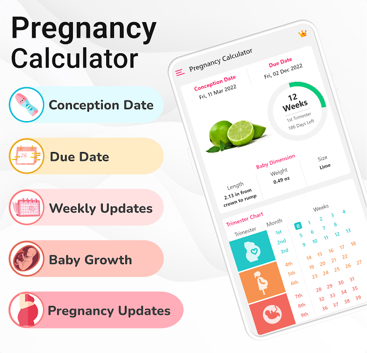 Pregnancy Calculator: Due Date - 24.6.23 - (Android)