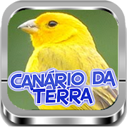 Canário da Terra |Completos