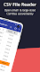 screenshot of CSV File Viewer