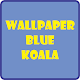 Wallpaper HD Blue Koala Latar Belakang Download on Windows