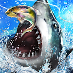Cover Image of Download Fishing Rivals : Hook & Catch  APK