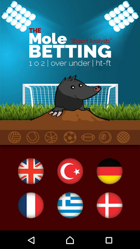 Sports Betting / 95% Success Screen 2