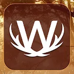 Cover Image of डाउनलोड Word Wild 1.0.13 APK