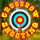Crossbow shooting simulator