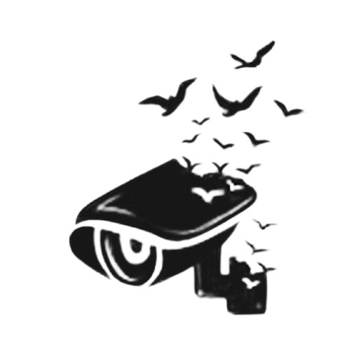 Birds Ai View logo