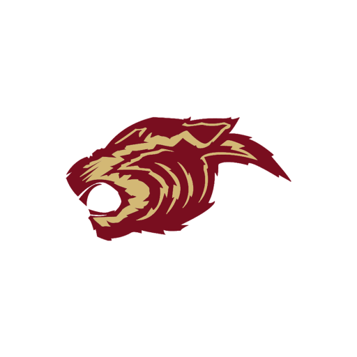 Lyons-Decatur Northeast logo