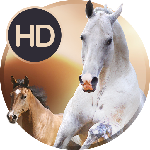 Animals wallpapers for phone ดาวน์โหลดบน Windows