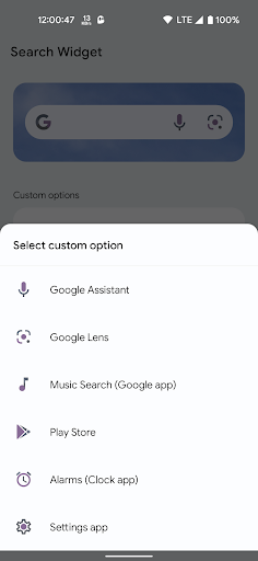 Screenshot of Search Widget (Material You)