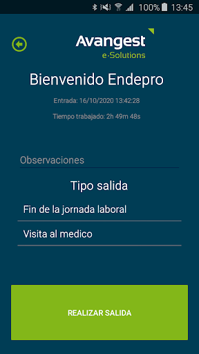 Avangest Control Horario Cloud Screen 3