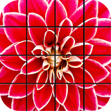 Red Puzzle Games icon