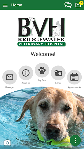 Bridgewater Vet Hospital Screenshot