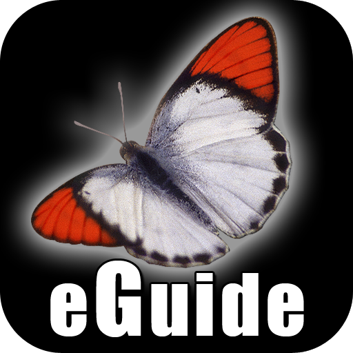 Butterfly eGuide 1.0 Icon