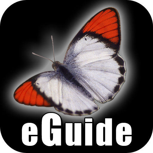 Butterfly eGuide Download on Windows