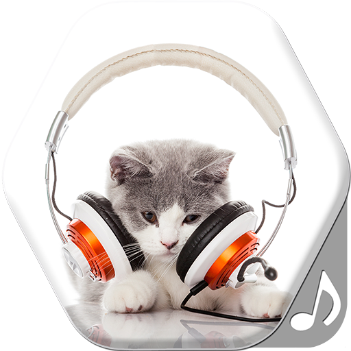 Cat Sounds Ringtones