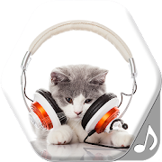 Top 30 Entertainment Apps Like Cat Sounds Ringtones - Best Alternatives