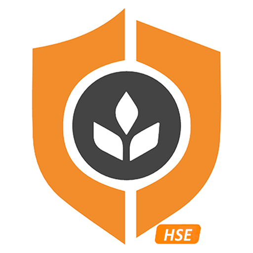 SALOMI HSE logo