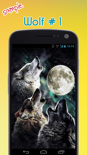 Download Wolf Wallpaper Free for Android - Wolf Wallpaper APK Download -  