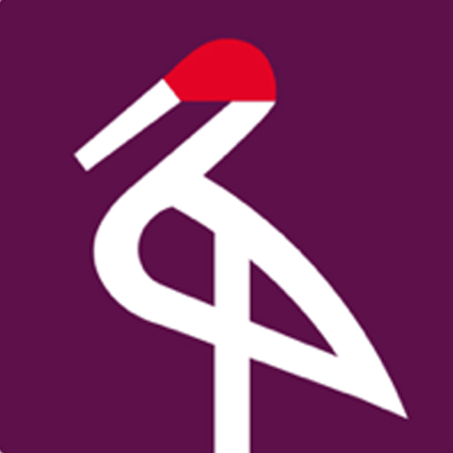 SFP 2024 logo