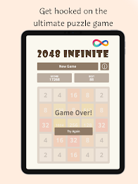 2048 Infinite poster 10