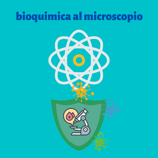 bioquimica al microscopio Screen 3