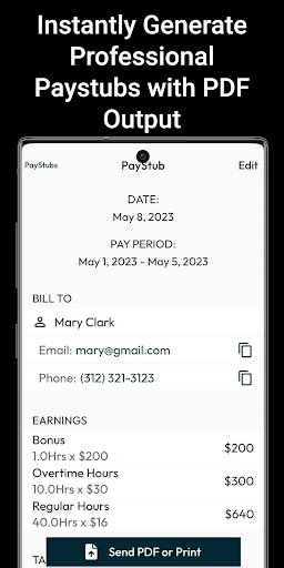 PayStub: PaySlip PDF Generator 6