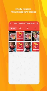 Story Reels & Video Downloader