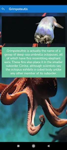 Octopuses Aquarium