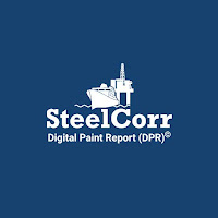 Digital Paint Report DPR