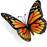 American Butterflies! icon