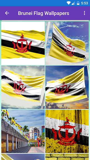 Brunei Flag Wallpaper Flags a