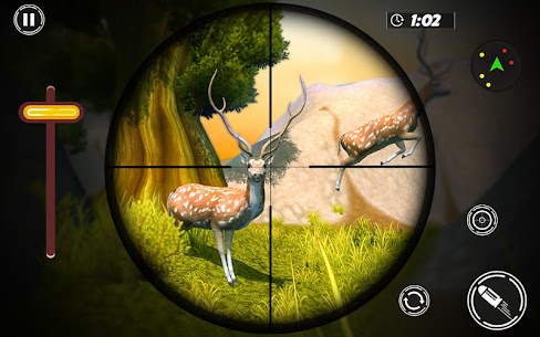 Wild Deer Hunting  2021 Game 19