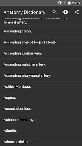 BIG Anatomy Dictionary