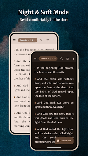 KJV Bible - Almeida screenshot 6