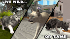 screenshot of Ultimate Cat Simulator