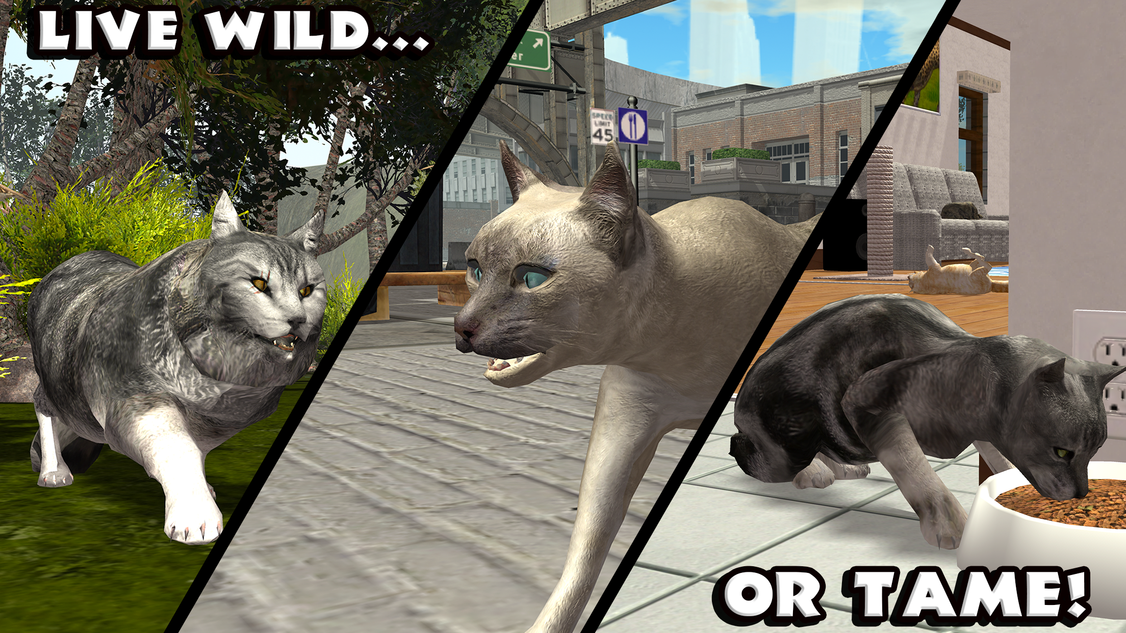 Android application Ultimate Cat Simulator screenshort