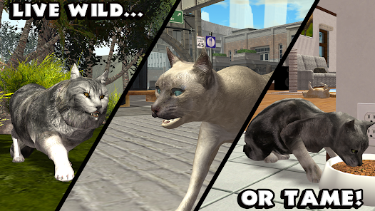 Cat Simulator : Kitties Family - Apps on Google Play