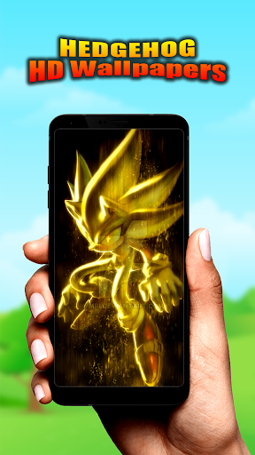Hedgehog Wallpaper Full HD 4k Screen 2