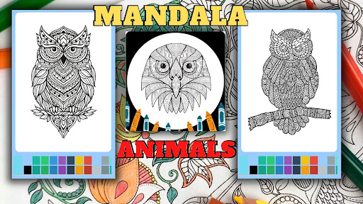 Owl Mandala Coloring Book App
