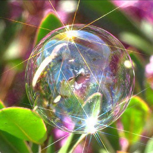 Bubble Wallpaper logo