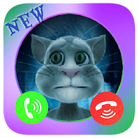 Cat Tom Chat  Fake Video Call