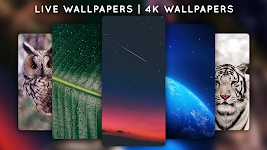 screenshot of Live Wallpapers - 4K Wallpapers