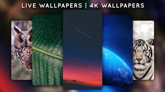 Papéis de parede animados - Captura de tela de papéis de parede 4K
