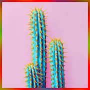Cactus Plant Home Decor