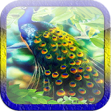 Beautiful Peacock LWP icon