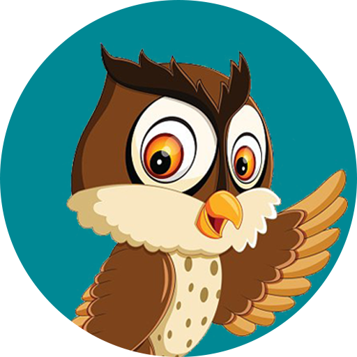 Flappy Owl  Icon