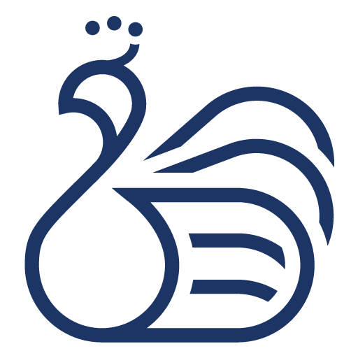 IpStudyErp logo