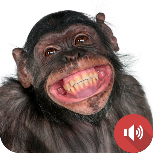 Chimpanzee Sounds logo
