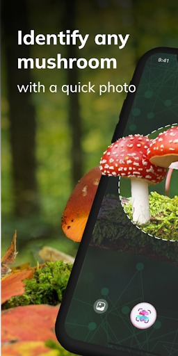 MushroomAI: Fungi ID & Guide 1