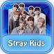Stray Kids Songs S-Class Full - Androidアプリ