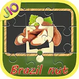 Dry Fruit puzzle kids game icon